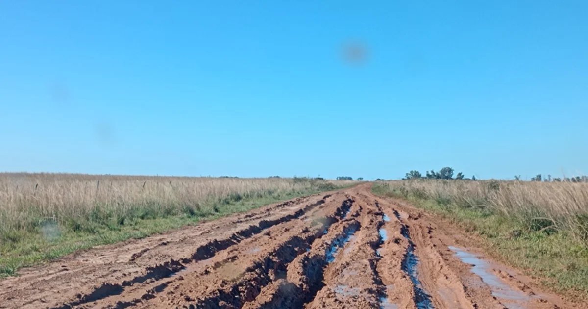 Reclamos y fuertes cruces por el estado de la ruta provincial 40 | El ...