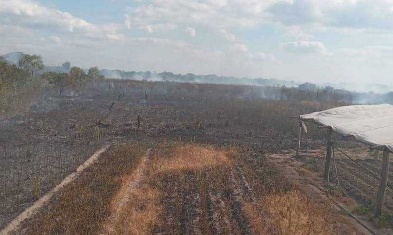 Un incendio alertó a productores frutihortícolas en Corrientes