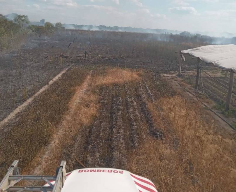 Un incendio alertó a productores frutihortícolas en Corrientes
