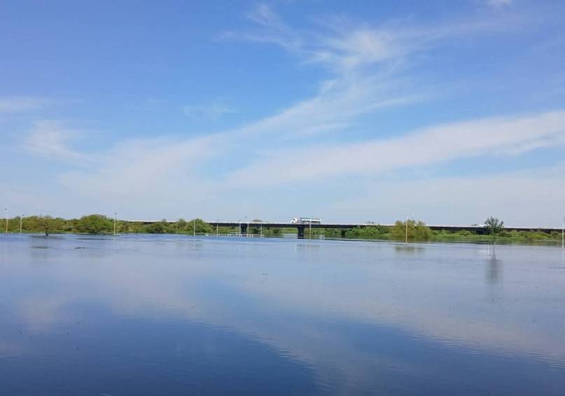 1769732255698 Tras la inundación en San Roque apareció gran mortandad de peces en el río Santa Lucía