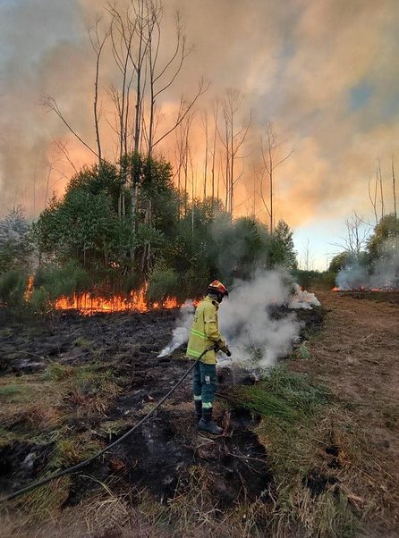Corrientes tiene dos focos de incendio activos: las impactantes imágenes