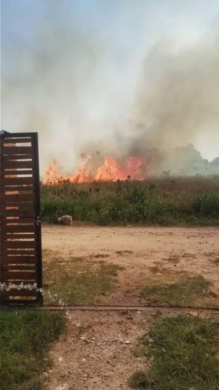 Desesperación por un incendio en el camino a Santa Ana