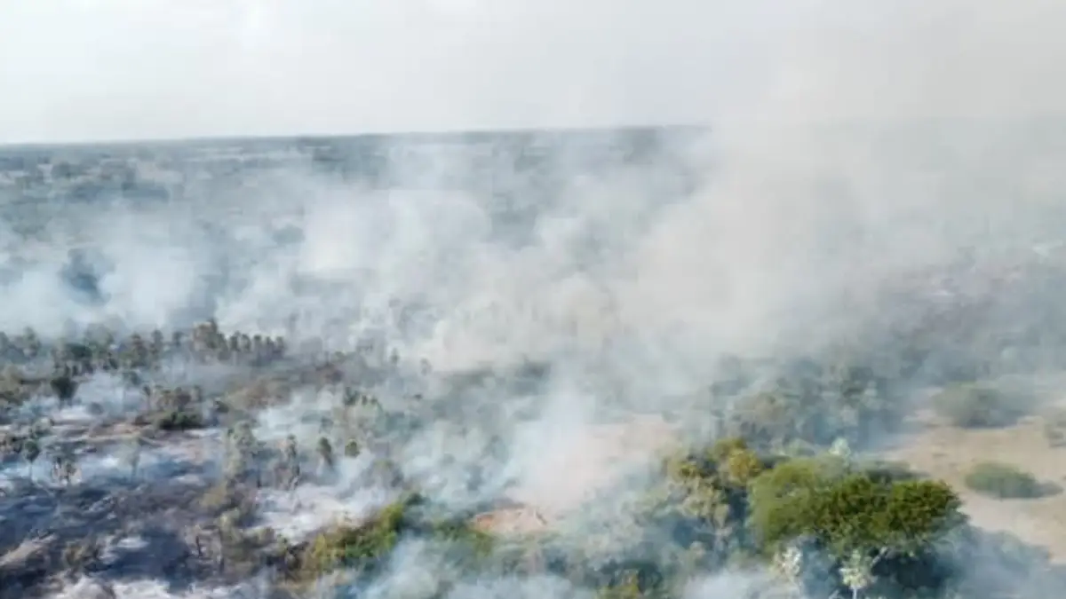 Se reactivó el fuego en la Reserva de San Cayetano y lleva más de 200 hectáreas quemadas Se reactivó el fuego en la Reserva de San Cayetano y lleva más de 200 hectáreas quemadas