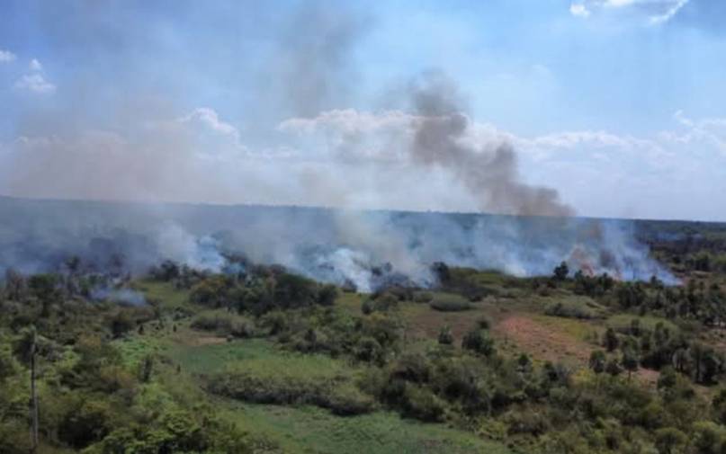 Se reactivó el fuego en la Reserva de San Cayetano y lleva más de 200 hectáreas quemadas - Se reactivó el fuego en la Reserva de San Cayetano y lleva más de 200 hectáreas quemadas