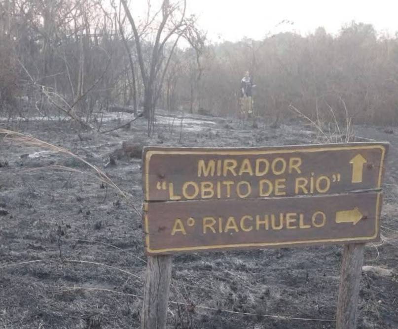 Se reactivó el fuego en la Reserva de San Cayetano y lleva más de 200 hectáreas quemadas - Se reactivó el fuego en la Reserva de San Cayetano y lleva más de 200 hectáreas quemadas