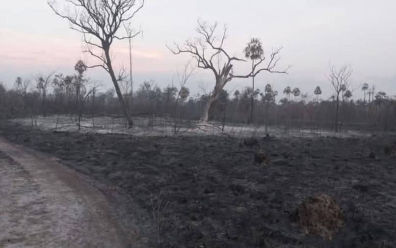 Se reactivó el fuego en la Reserva de San Cayetano y lleva más de 200 hectáreas quemadas - Se reactivó el fuego en la Reserva de San Cayetano y lleva más de 200 hectáreas quemadas