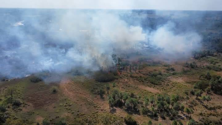 Se reactivó el fuego en la Reserva de San Cayetano y lleva más de 200 hectáreas quemadas - Se reactivó el fuego en la Reserva de San Cayetano y lleva más de 200 hectáreas quemadas