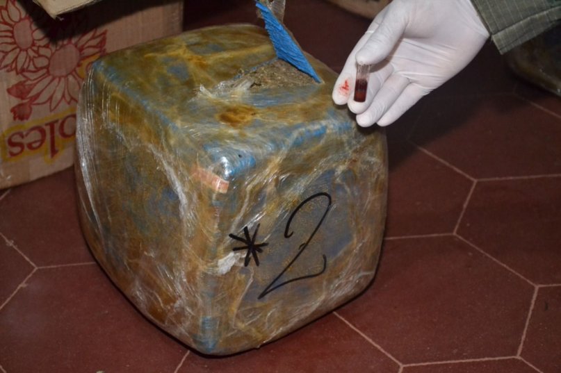 Interceptaron encomiendas con marihuana por un valor cercano a los $50 millones- Interceptaron encomiendas con marihuana por un valor cercano a los $50 millones