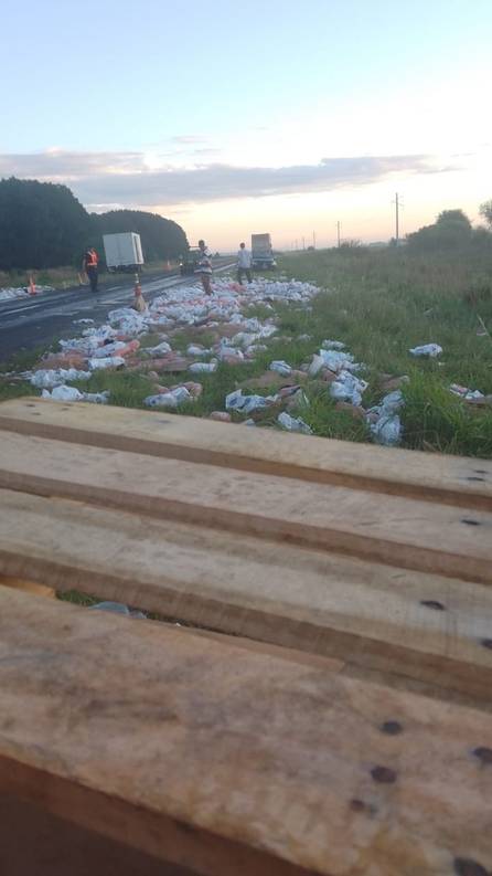 Tragedia en Corrientes: un muerto tras el choque frontal entre dos camiones