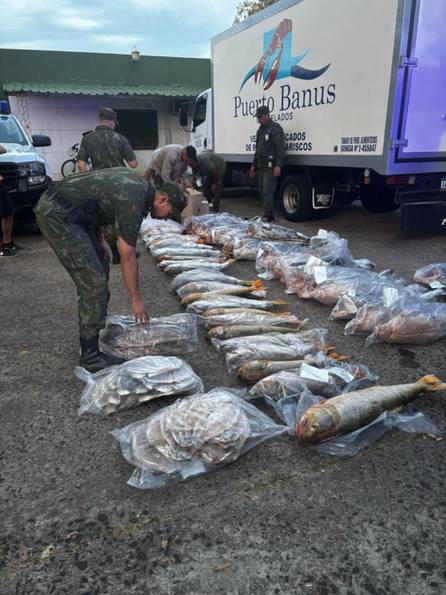 Corrientes: secuestraron más de 700 kilos de pescado con especies protegidas