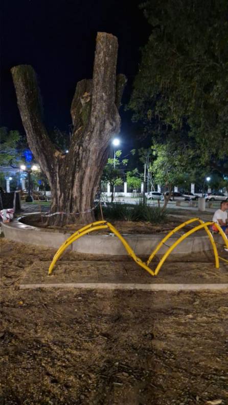 Podaron un árbol por riesgo de derrumbe en plaza La Cruz: hubo daños en juegos y bancos- Podaron un árbol por riesgo de derrumbe en plaza La Cruz: hubo daños en juegos y bancos