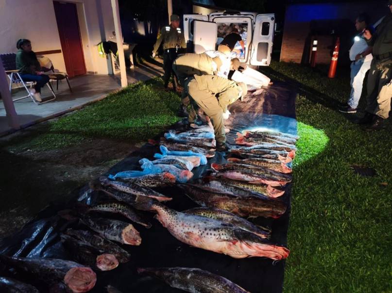 Secuestran una impactante carga de pescados en Corrientes