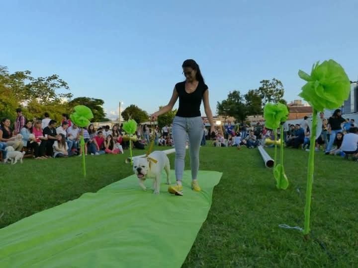 Vuelve la fiesta de las mascotas a Corrientes: habrá desafíos, desfile y bendición- Vuelve la fiesta de las mascotas a Corrientes: habrá desafíos, desfile y bendición