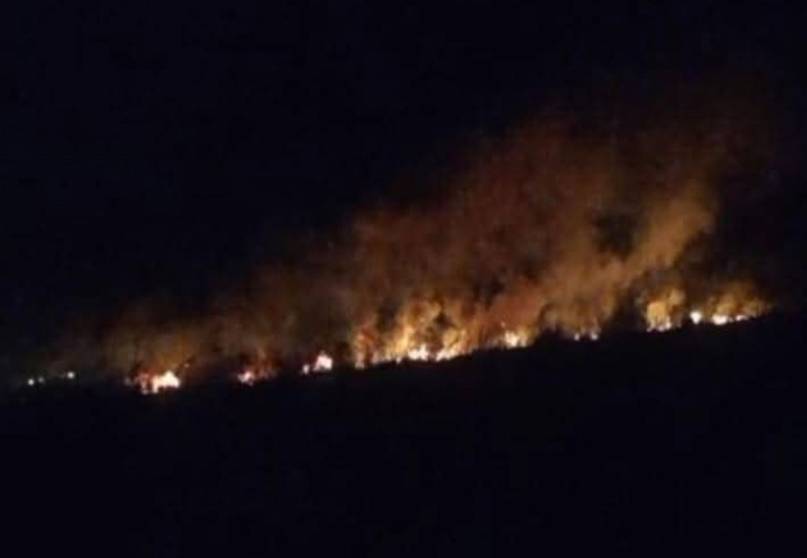Se produjo un incendio en una reserva natural en Corrientes 