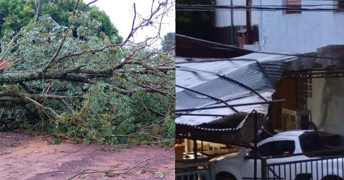 La fuerte tormenta produjo la caída de árboles y voladura de techos en ...