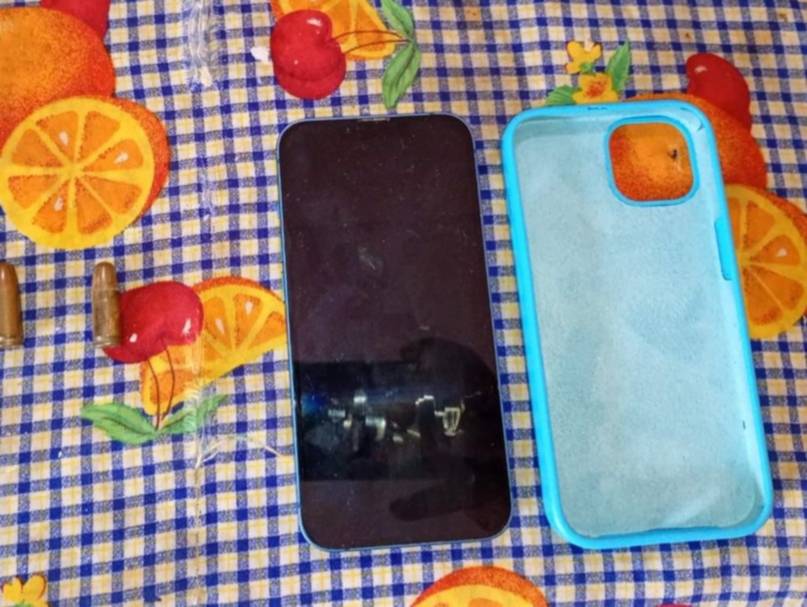 La rectora de un colegio denunció intimidaciones, allanaron a un alumno y encontraron la réplica de un arma