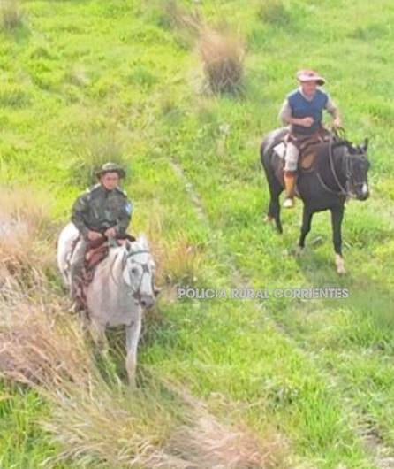 Con drones y rastrillajes recuperaron 11 vacunos sustraídos en Ituzaingó