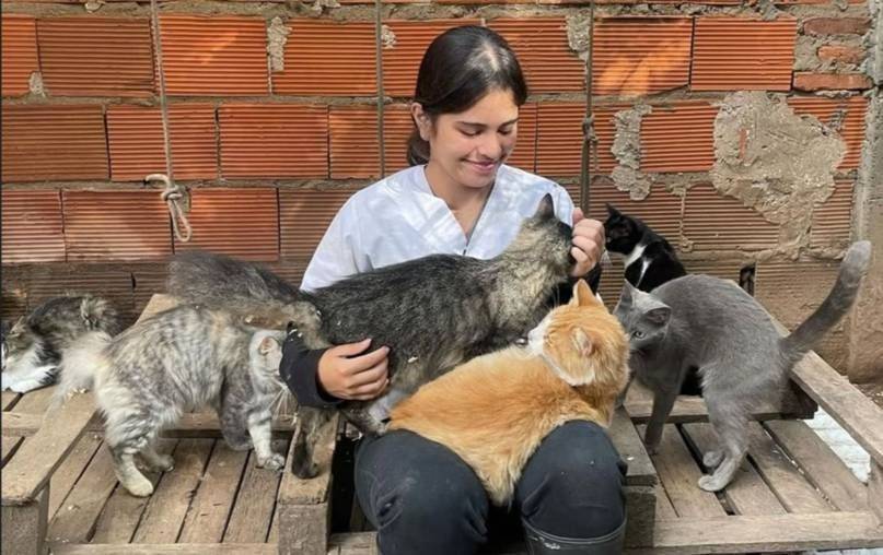 150 animales podrían quedar en la calle por el cierre inminente de un refugio