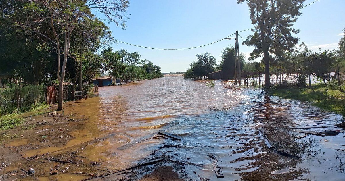 Crecida del río Uruguay: cuándo llegará a su pico máximo | El Litoral