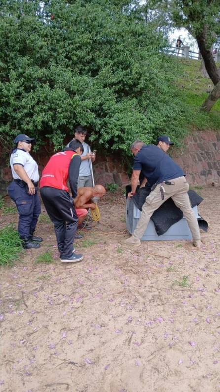 Apareció un aguará guazú en una playa de Corrientes