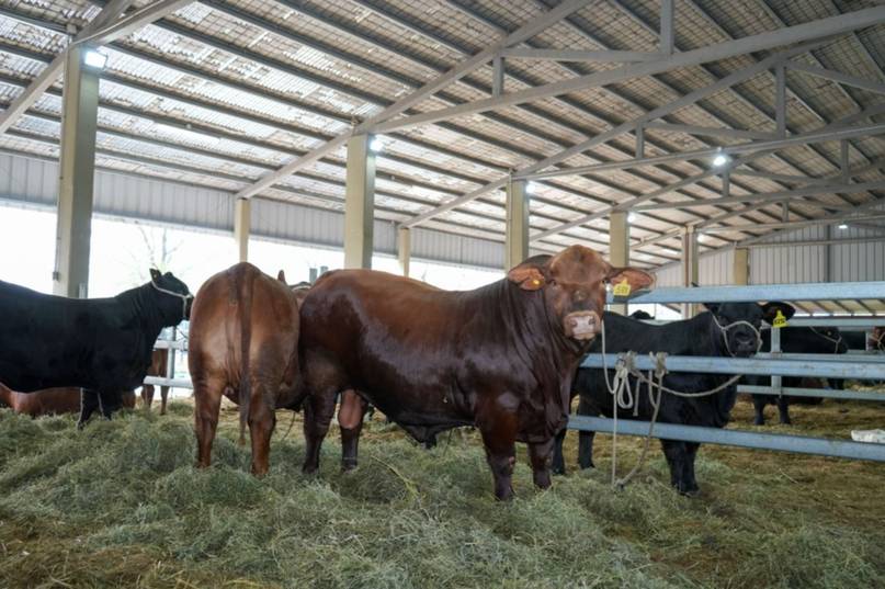 ValdÃ©s, en la Expo Nacional de Razas: "Cuando se ataca al campo, se ataca a Corrientes"