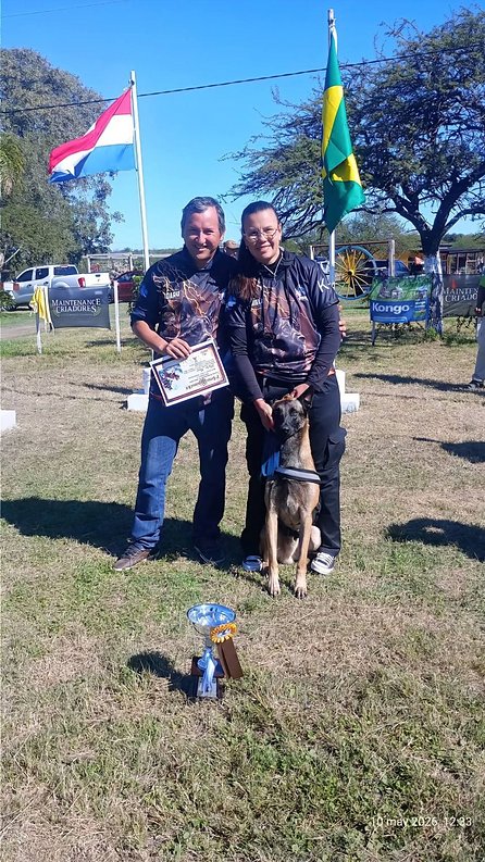 Quién es Cairo, el perro correntino que busca, rescata y brilla en Latinoamérica - Quién es Cairo, el perro correntino que busca, rescata y brilla en Latinoamérica