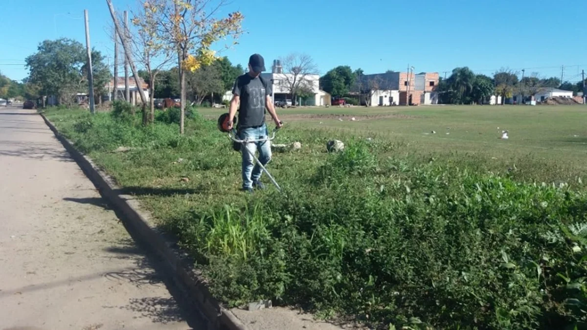 Realizaron tareas de limpieza y desmalezamiento en varios barrios | El ...
