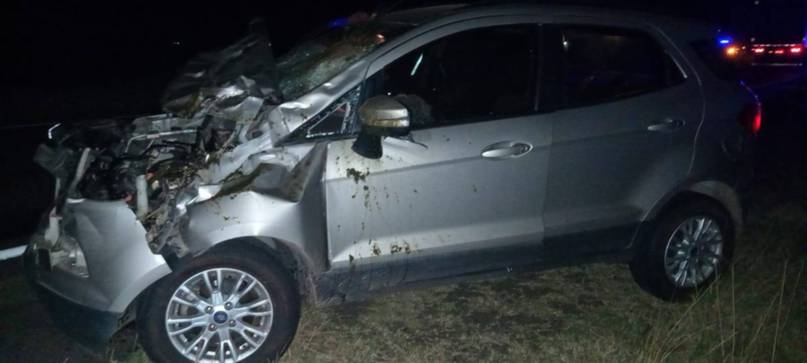 Un automóvil chocó contra un caballo en una ruta de Corrientes