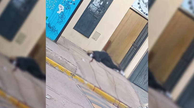 1749035988125 FEMICIDIO: UN POLICIA MATÓ A LA PAREJA DE SU EX, LUEGO DE ATRINCHERARSE, SE PEGÓ UN TIRO