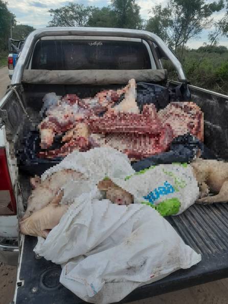 Corrientes: incautaron carne ilegal y secuestraron un arma de fuego