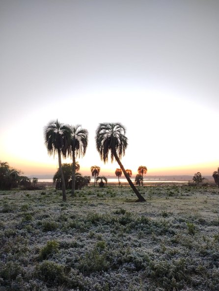 Corrientes: heladas en la zona rural y hay alerta amarilla por frío extremo- Corrientes: heladas en la zona rural y hay alerta amarilla por frío extremo