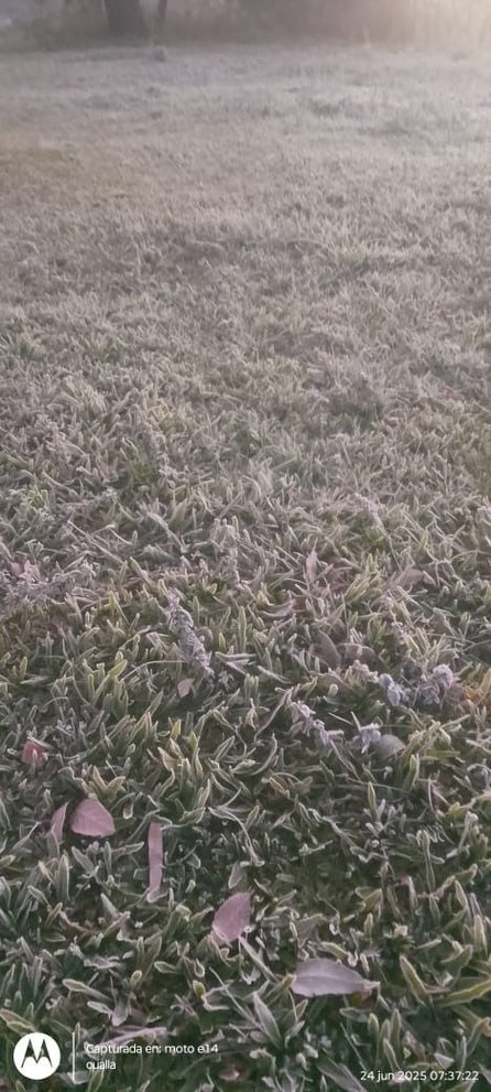 Corrientes: heladas en la zona rural y hay alerta amarilla por frío extremo- Corrientes: heladas en la zona rural y hay alerta amarilla por frío extremo