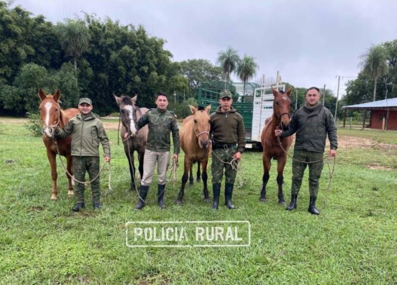 Robaron caballos para cazar animales en la Reserva Natural Iberá