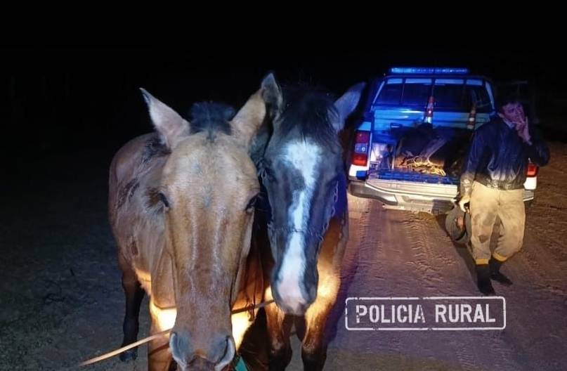 Robaron caballos para cazar animales en la Reserva Natural Iberá