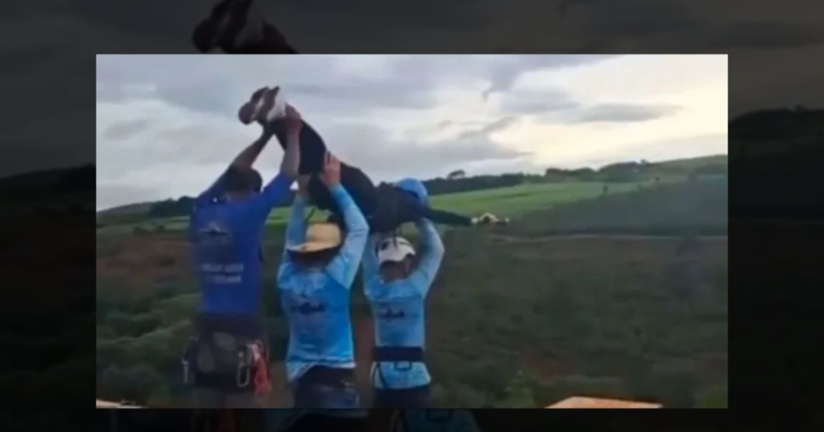Brasil: conmoción por la muerte de una jóven tras un salto de bungee jumping | El Litoral