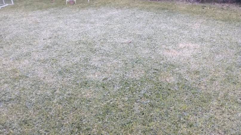 1751457060773 CORRIENTES AMANECIÓ BAJO UN MANTO BLANCO POR LAS BAJAS TEMPERATURAS