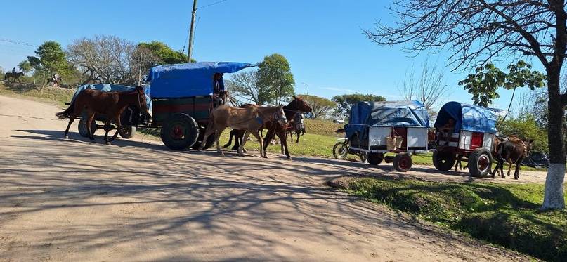 A caballo, carretas, bici y a pie, se trasladan los fieles a la Basílica de Itatí 