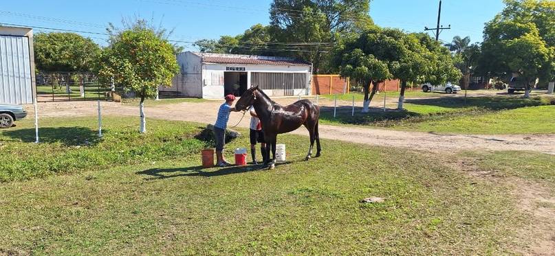 A caballo, carretas, bici y a pie, se trasladan los fieles a la Basílica de Itatí 