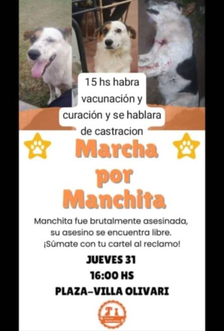 Dolor en Corrientes: mataron a Bruno, el perro que acompañaba a los niños en la escuela 