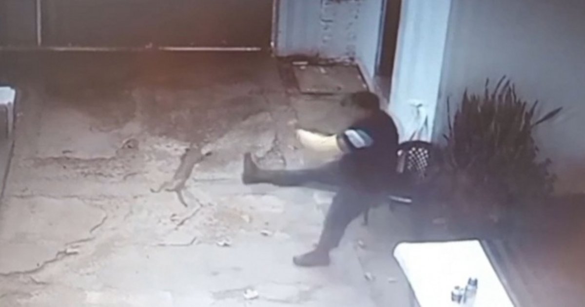 Investigan un caso de maltrato animal en una unidad penitenciaria de Corrientes