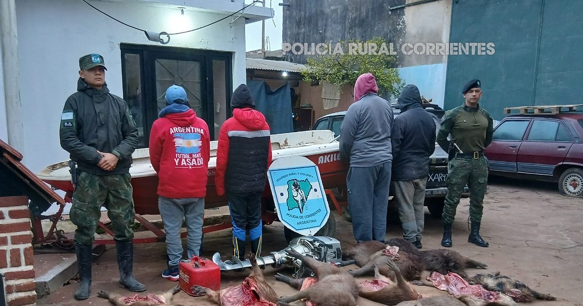 Corrientes: cuatro detenidos tras el decomiso de 11 animales silvestres