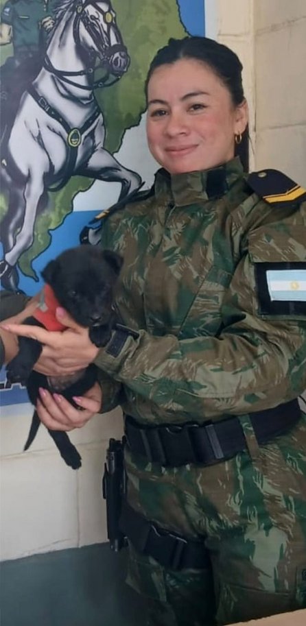 La historia de Piru, el perro abandonado en la ruta y rescatado por policías de Corrientes