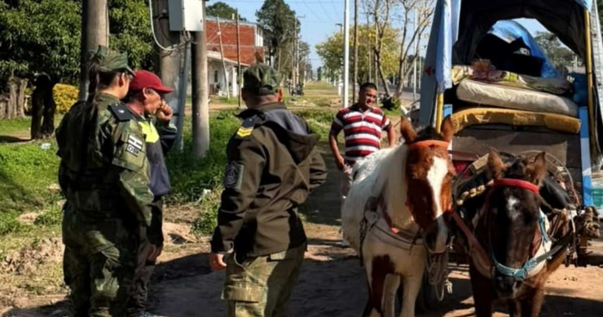 Peregrinación a Itatí: controlan el estado de los caballos para evitar el maltrato animal