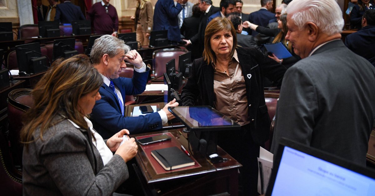Por la UCR y los gobernadores, el Gobierno posterga el proyecto de propiedad privada
