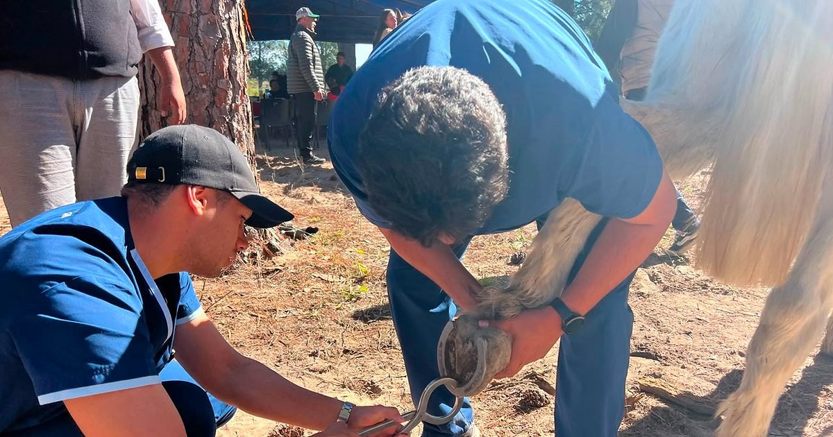 Realizaron más de mil atenciones médicas en la peregrinación de San Luis del Palmar a Itatí