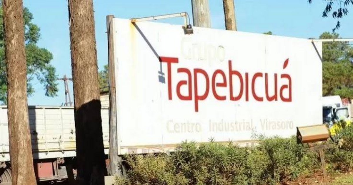 Forestal Tapebicuá, al borde de la quiebra: designaron interventor y crece la incertidumbre