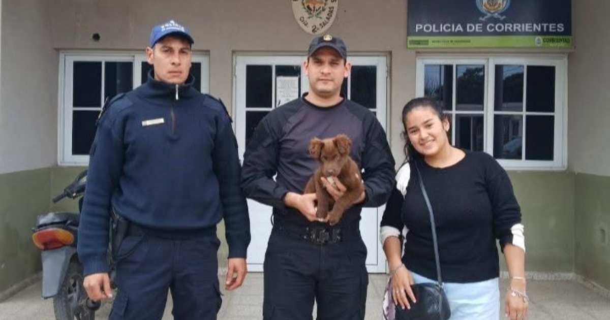 Osito, el cachorro que fue robado y ahora volvió con su familia en Saladas