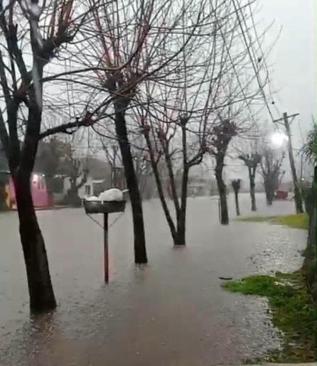 Corrientes: el temporal provocó anegamientos, caída de árboles y postes en Curuzú Cuatiá