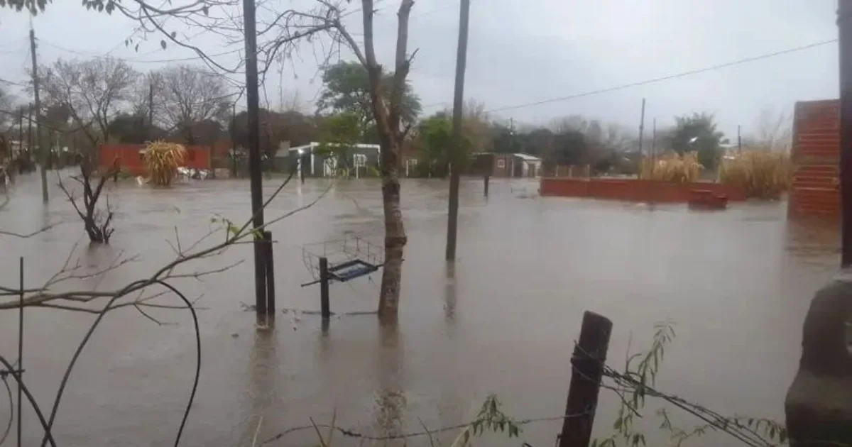 Corrientes: el temporal provocó anegamientos, caída de árboles y postes en Curuzú Cuatiá | El Litoral