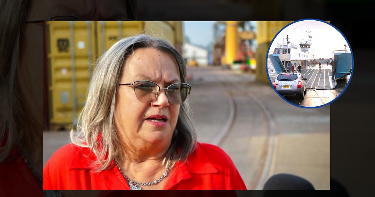 "Es una necesidad": plantean el regreso de balsas entre Corrientes y Chaco | El Litoral
